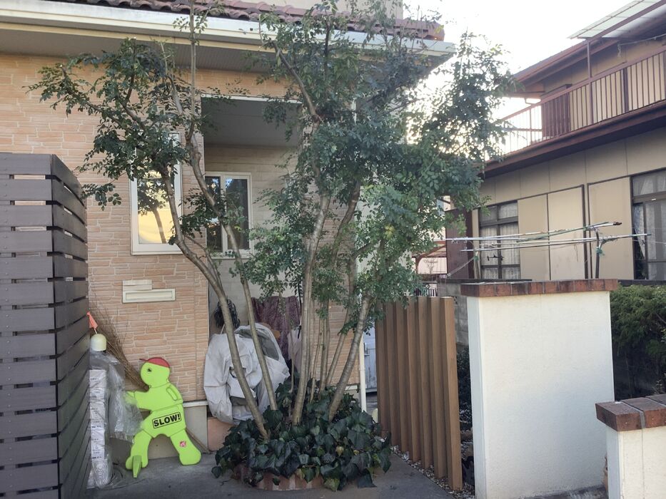 画像1569